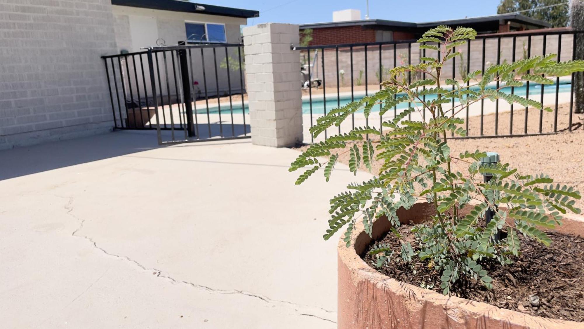 Private Home - Heated Pool, Billiards, Darts, Foosball, Fireplace, 5 Smart Tvs, Bbq, Cotton Bedding - The Saguaro Sanctuary, Pool Heat Optional Tucson Exterior foto
